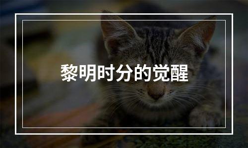 黎明时分的觉醒