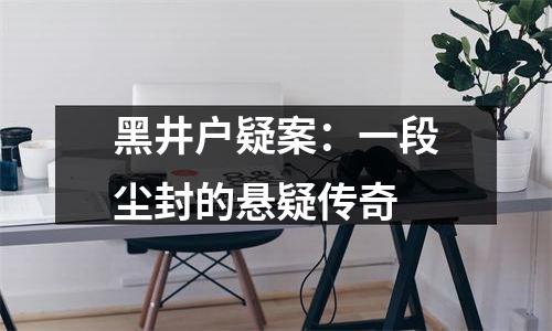 黑井户疑案：一段尘封的悬疑传奇
