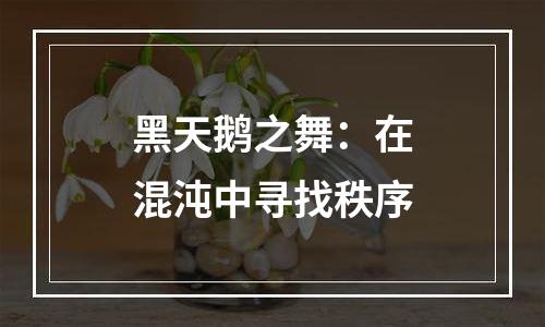 黑天鹅之舞：在混沌中寻找秩序