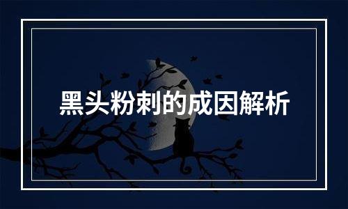 黑头粉刺的成因解析