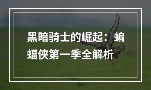 黑暗骑士的崛起：蝙蝠侠第一季全解析