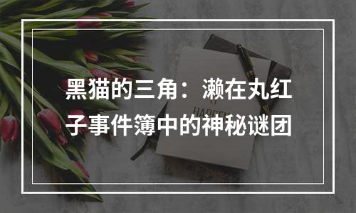 黑猫的三角：濑在丸红子事件簿中的神秘谜团