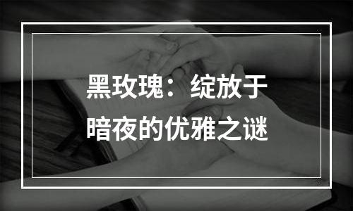 黑玫瑰：绽放于暗夜的优雅之谜