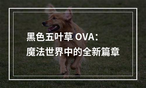 黑色五叶草 OVA：魔法世界中的全新篇章