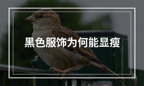 黑色服饰为何能显瘦