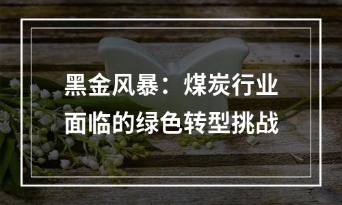黑金风暴：煤炭行业面临的绿色转型挑战