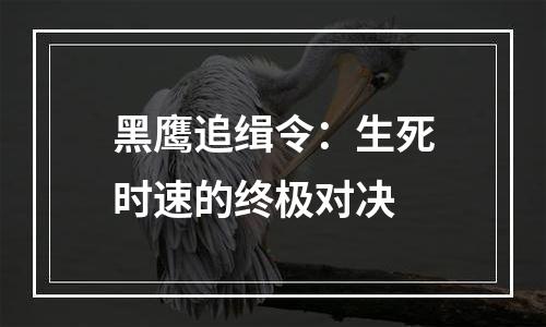 黑鹰追缉令：生死时速的终极对决