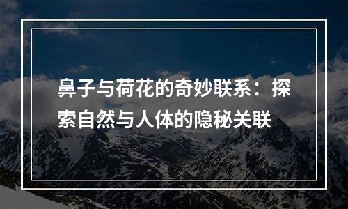 鼻子与荷花的奇妙联系：探索自然与人体的隐秘关联