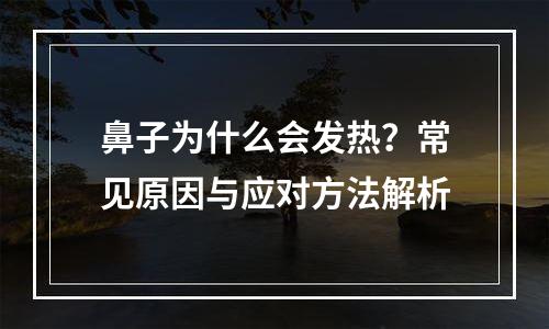鼻子为什么会发热？常见原因与应对方法解析