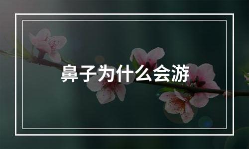 鼻子为什么会游