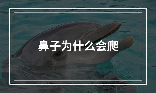 鼻子为什么会爬