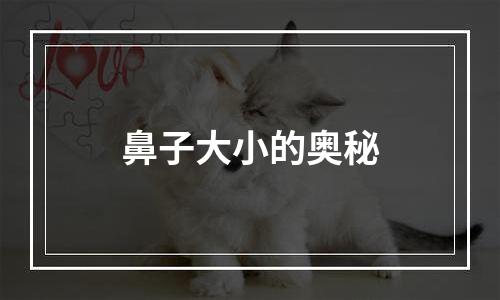 鼻子大小的奥秘