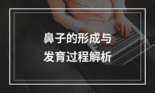 鼻子的形成与发育过程解析