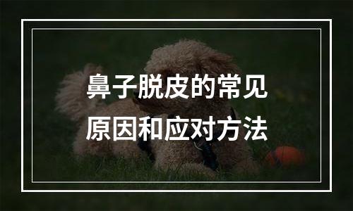 鼻子脱皮的常见原因和应对方法