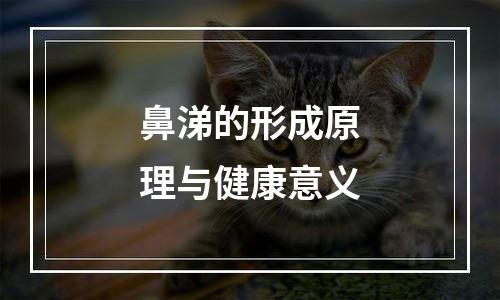 鼻涕的形成原理与健康意义