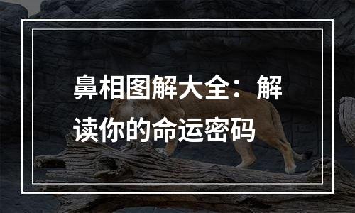 鼻相图解大全：解读你的命运密码