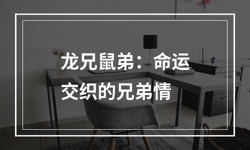 龙兄鼠弟：命运交织的兄弟情