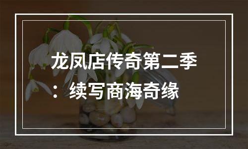 龙凤店传奇第二季：续写商海奇缘