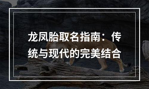 龙凤胎取名指南：传统与现代的完美结合