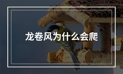 龙卷风为什么会爬