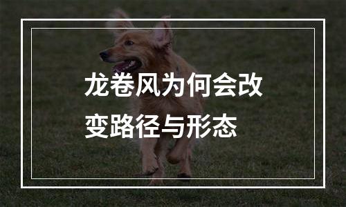 龙卷风为何会改变路径与形态