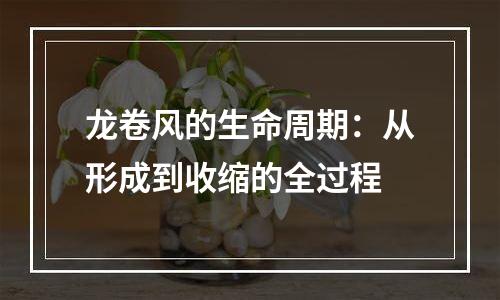 龙卷风的生命周期：从形成到收缩的全过程