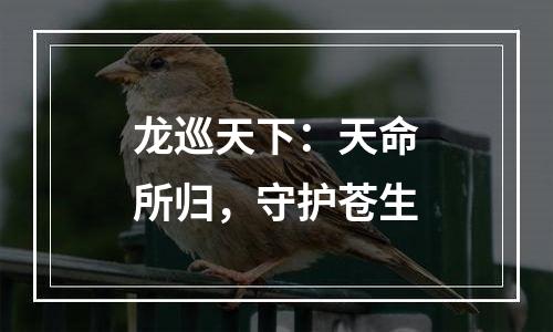 龙巡天下：天命所归，守护苍生