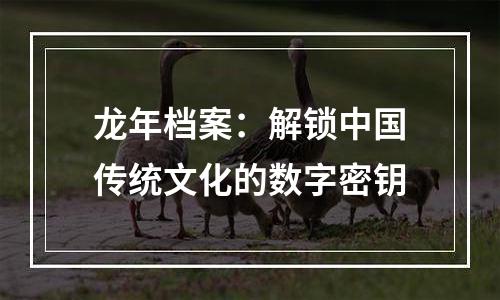 龙年档案：解锁中国传统文化的数字密钥