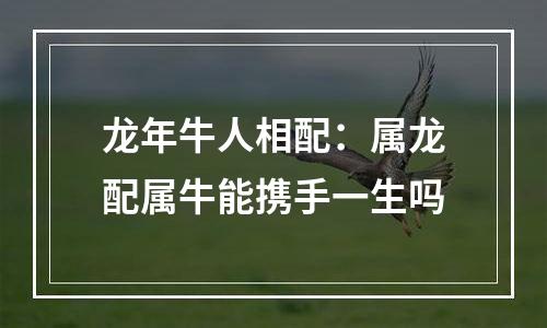 龙年牛人相配：属龙配属牛能携手一生吗