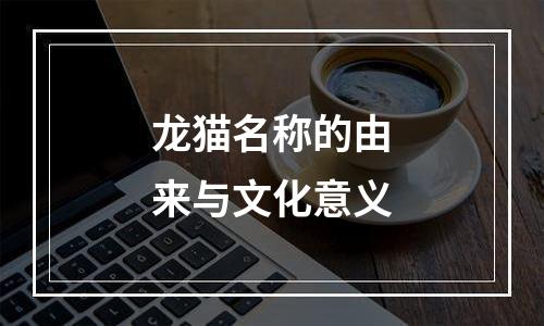 龙猫名称的由来与文化意义