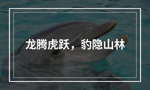 龙腾虎跃，豹隐山林