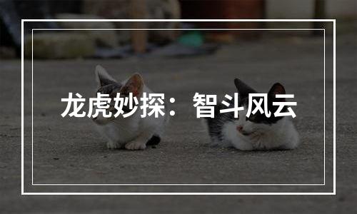 龙虎妙探：智斗风云
