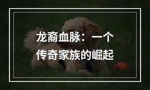 龙裔血脉：一个传奇家族的崛起