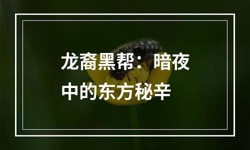 龙裔黑帮：暗夜中的东方秘辛