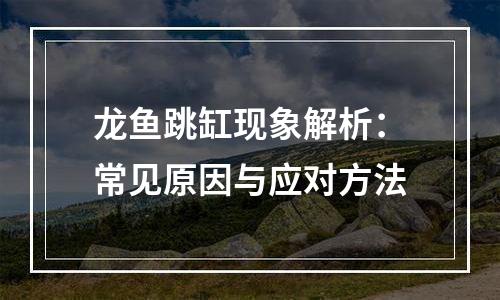 龙鱼跳缸现象解析：常见原因与应对方法