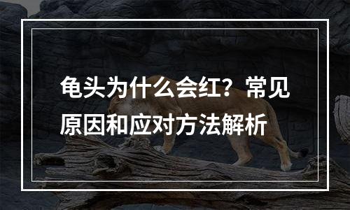 龟头为什么会红？常见原因和应对方法解析