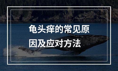 龟头痒的常见原因及应对方法
