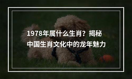 1978年属什么生肖？揭秘中国生肖文化中的龙年魅力