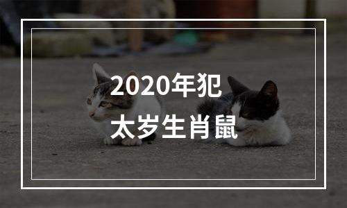 2020年犯太岁生肖鼠
