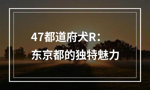 47都道府犬R：东京都的独特魅力