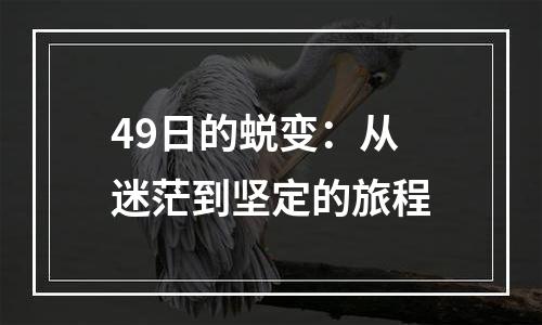 49日的蜕变：从迷茫到坚定的旅程