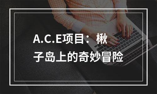 A.C.E项目：楸子岛上的奇妙冒险