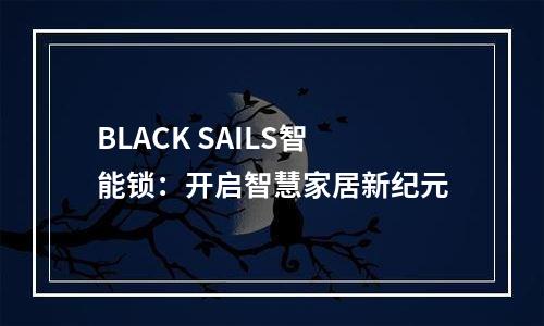 BLACK SAILS智能锁：开启智慧家居新纪元