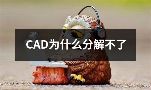 CAD为什么分解不了