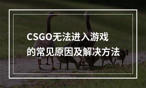 CSGO无法进入游戏的常见原因及解决方法