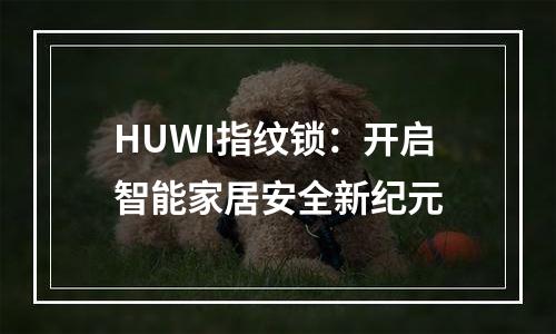 HUWI指纹锁：开启智能家居安全新纪元