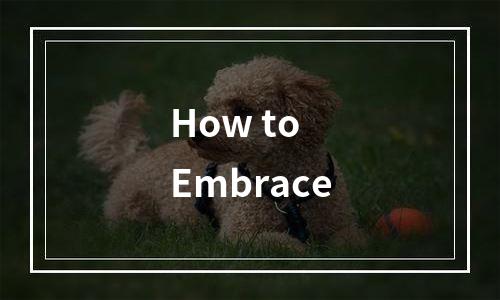 How to Embrace 