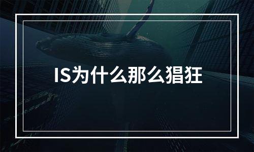 IS为什么那么猖狂
