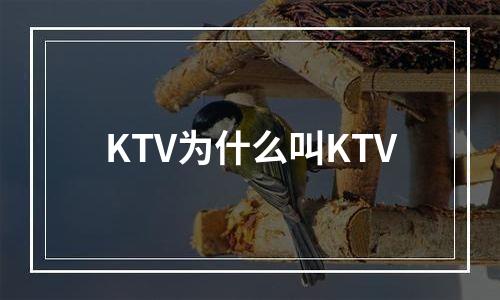 KTV为什么叫KTV