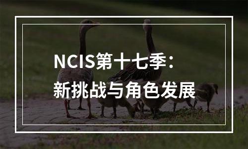 NCIS第十七季：新挑战与角色发展